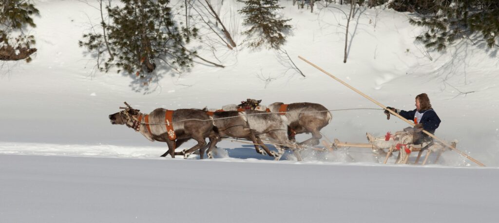 An Inuit on a sleigh races through the snow illustrates Conflict Resolution in Requirement Elicitation