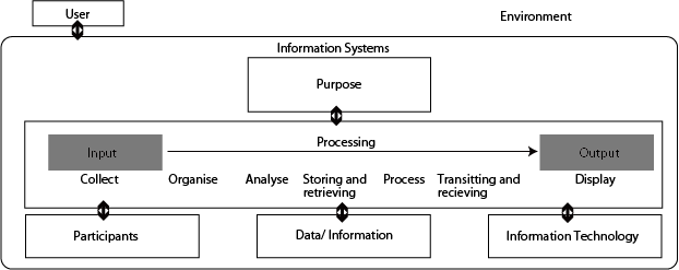 Information system diagram showing input, processing, output, users, participants, data and information, and information technology within the system environment.