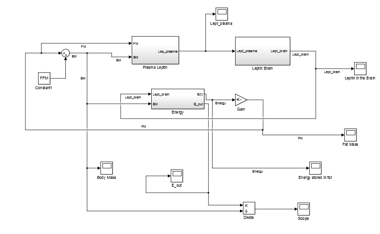 Block diagram model with labels like “Plasma Leptin”, “Leptin Brain”, “Body Mass”, and “Fat Mass” connected by signal lines.